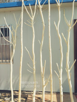 Natural dried branches dried branches peeled anti-corrosion wood tree poles decoration of dead trees hotel partition clubhouse coat rack landing tree