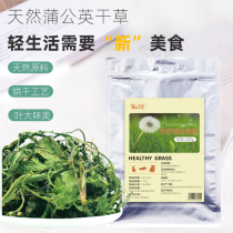 Natural Dandelion grass 500g rabbit Dutch pig Chinchow Dragon cat guinea pig Hay heat clearing heat and detoxification pet snack