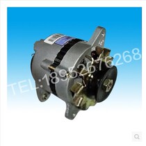 Zong Shen Longxin Yuejin Mond Emgrand Blue Shield 800 three-wheel four-cylinder 462 engine original parts-generator