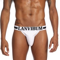 Fashion Sexy Low Waist High Fork Beat Bottom Shorts U Convex Parquet Color Minimalist Sexy Mens Triangle Briefs