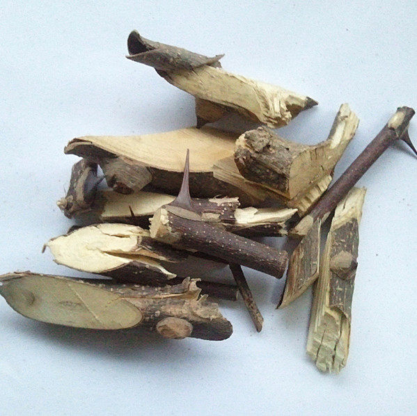 入地金牛 红心刺刁根 红倒钩簕 两背针 双面针 双面刺 两面针