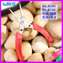 Nanye BX-A B100 Teeth Stainless Steel Toothless Round Nose Pliers Flat Tsule Bending Pliers Winding Pliers