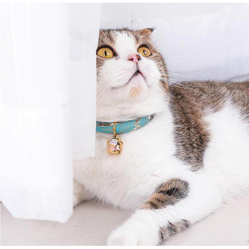 猫咪项圈猫圈猫项圈铃铛除跳蚤去虱子狗狗小型犬颈圈脖圈宠物用品