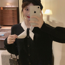Long sweater skirt temperament with knitted bottoming dress with coat skirt women thick fake collar in autumn and winter