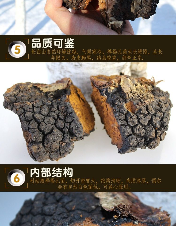 桦褐孔菌 野生桦树泪 桦树黄新货 长白山白桦茸250g可切块打精粉_7折