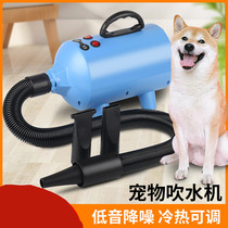 Pet water blower cat and dog hair dryer large dog and dog hair dryer high-power silent blow-dry commercial hair-blowing artifact