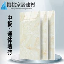 Negative ion whole body plate all porcelain tile 400x800 living room wall tile kitchen bathroom wall tile FZ8406