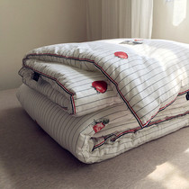 ins Net red quilt winter quilt cotton dormitory student single bed warm spring autumn double quilt core