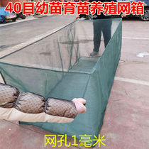 Set to be 10-40 40-mesh 80-mesh Leech Mud Loach Yellow Eel Nursery Breeding Net Cage Fish Exclusive Fish Fry Water Flowers