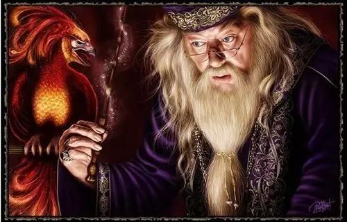 【预售】哈利波特人物影集:邓布利多 英文原版 albus dumbledore