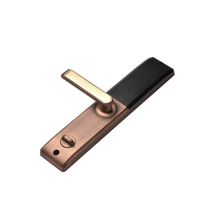 滑盖智能隐形指纹锁家用防盗门锁密码电子锁APP房门木门锁带门铃