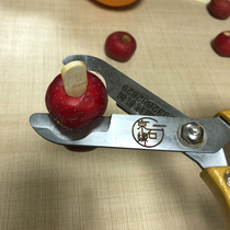 Mesh Red Small Strings Mini Sugar Gourd Clip Filling Hawthorn Open Edge Special Scissors Clipper Special Material Making Tool