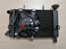 Lion cub BJ250 water tank assembly radiator assembly Lion Cub 250 water-cooled radiator fan assembly