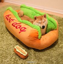 (Japan) Japanese genuine Shiba DOG Daifuku same HOT DOG kennel