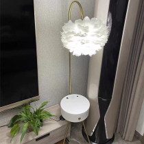 Nordic floor lamp post-modern living room sofa simple bedroom bedside rack one feather high-end table lamp
