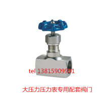 Large pressure pressure gauge assorted special 304 valve needle type valve pressure gauge assorted