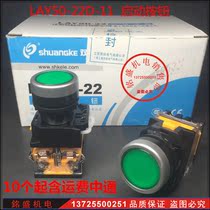 Jiangsu Shuangke LAY50-22 Double Branch Press LAY50-22D-11T Green self-locking without light with lock switch