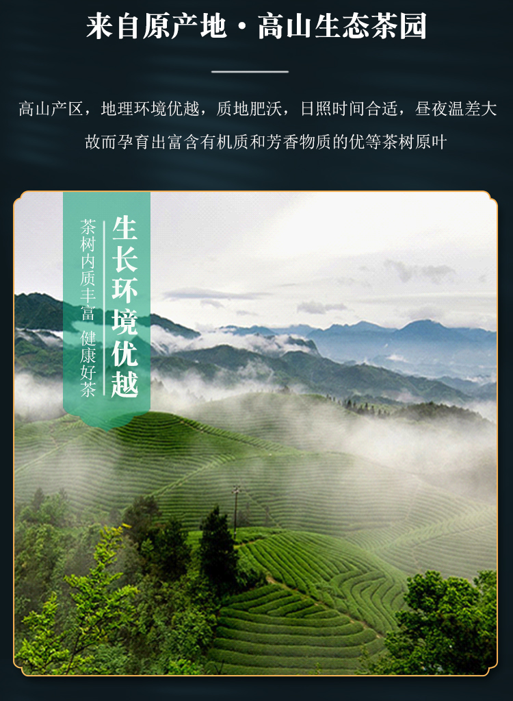 2022新茶特级黄山毛峰嫩芽绿茶礼盒装500g