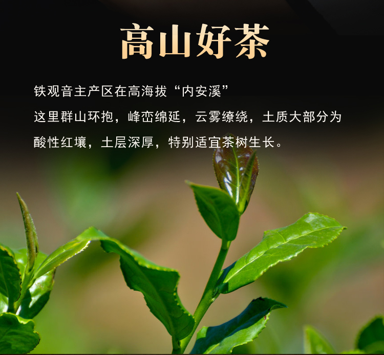 新茶特级安溪高山铁观音500g礼盒