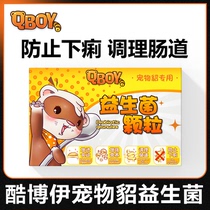 QBOY probiotics lactic acid bacteria granules cure diarrhea pet pet ferret probiotics