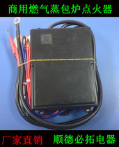 Factory direct commercial steamer furnace electronic pulse ignition flameout protection controller 220V power supply 3V solenoid valve