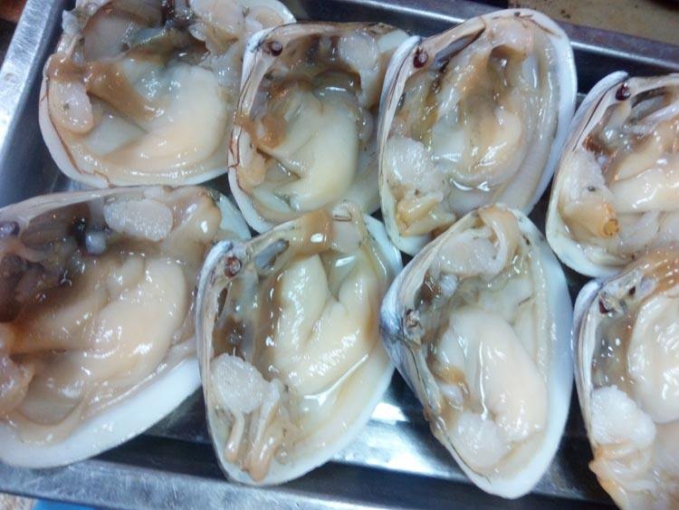 湛江鲜活海螺野生贵妃螺新鲜蚌贝类办酒席海鲜1份10只大号天鹅蛋