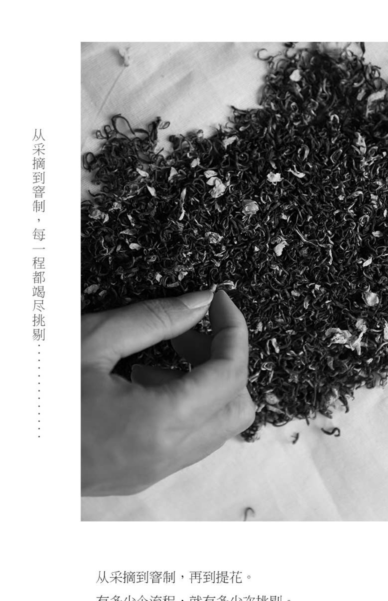 【虎标】茉莉花茶特级茶叶100g浓香型