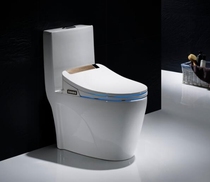 Smart toilet with water tank Home 150250280350380450480500 Pit Distance Wall Platoon
