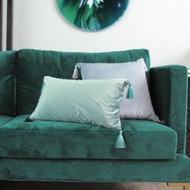 (Aoyama Meisu) original design Moss Velvet new Chinese velvet tassel pillow design cushion INS