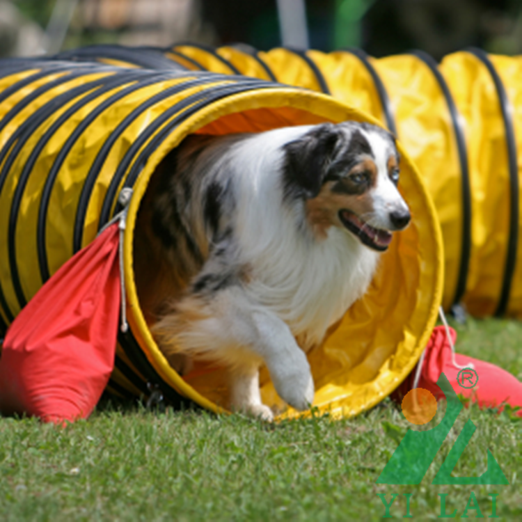 FCI International Racing Class Pet Dog Ultra-Thick Shuttle Tunnel TUNNEL Multi-Size Anti-Ultraviolet Agile Competition Movement-Taobao