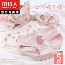South Pole Underpants Womens pure cotton antibacterial crotch Waist Day Ensemble Teenage Girl Raw Summer Thin-Breathable Triangle Lady Briefs