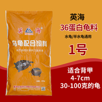 Small Grain Tortoise Crocodile Turtle Stone Gold Money Tortoise Material Young Turtle Grain China Grass Turtle Basil Flame Tortoise Fodder