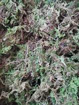 Water Grass Moss Turtle Warm Winter Sleeping With Insulation Over Winter Mat Material Fresh Toss Turtle Packing Transport For Transport