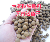 Crocker tortoise tortoise food Brazil tortoise food turtle feed tortoise food tortoise grain dried shrimp large grain tortoise food 600g