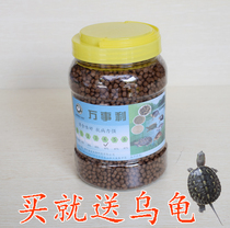 Living turtle feed young turtle tortoise tortoise stone turtle Brazilian tortoise gravel grass tortoise pellet type universal tortoise