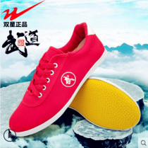 Twin Star Martial Shoes Men Taiji Shoes Summer Summer Training Shoes Shoes and Female Shoes Coal Sound Children Training Performance