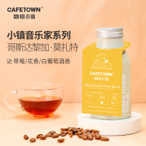 Coffee Town Costa Rica Musician Series Mozart Coffee beans Boutique canned freshly baked 100g