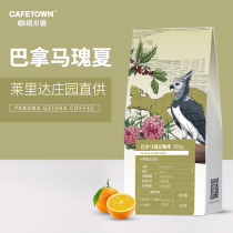 Coffee Town Barnama Guoxia coffee beans Fresh hand-brewed single product Lleida Manor ground coffee powder 100g