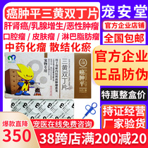 Paulin Cancer Tumor Fast Pet Patient Cat Incologa Mammal Cat Flower Limphoma Diamond Tumor Aikang