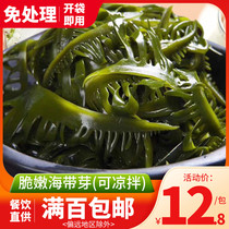 Kelp Bud 200G full of 100 yuan sea cabbage Kelp seafood hot pot ingredients can be cold ready to eat