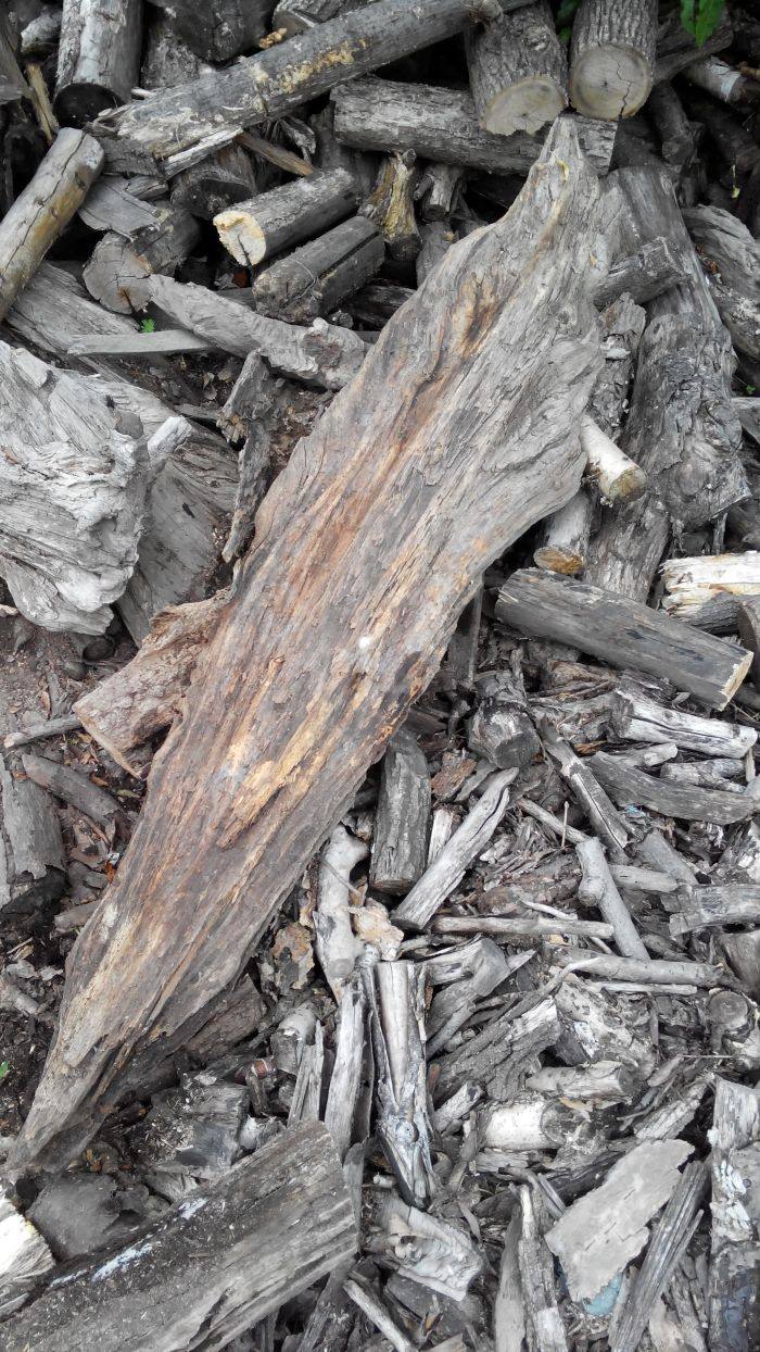琥珀木原料 松香木原料 松明子原料 仿佛朽木原料