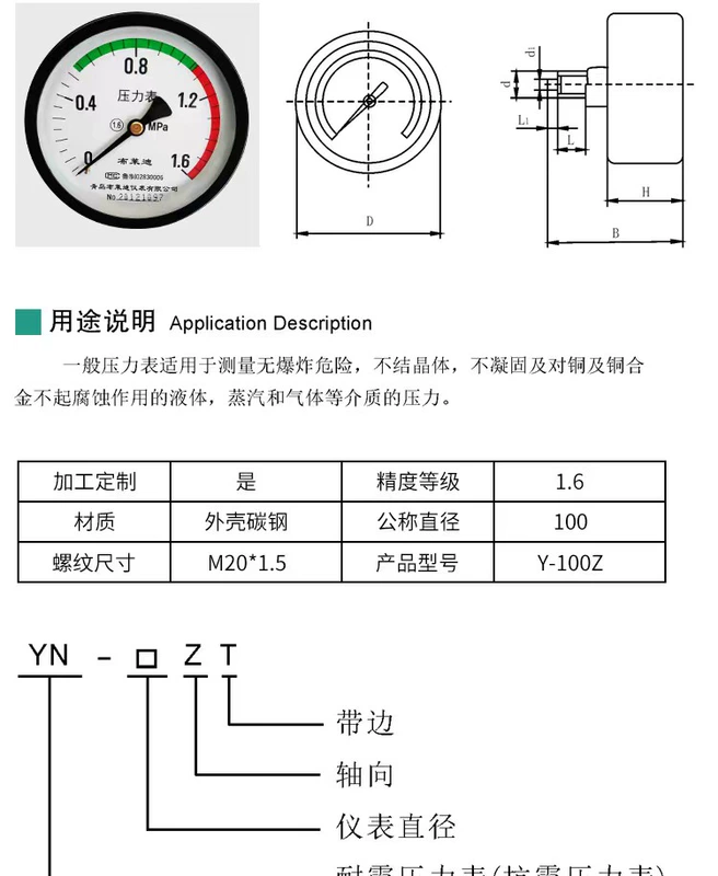 Đồng hồ đo áp suất Y-100Z trục áp suất không khí đo áp suất M20/M14 cho bình chứa khí