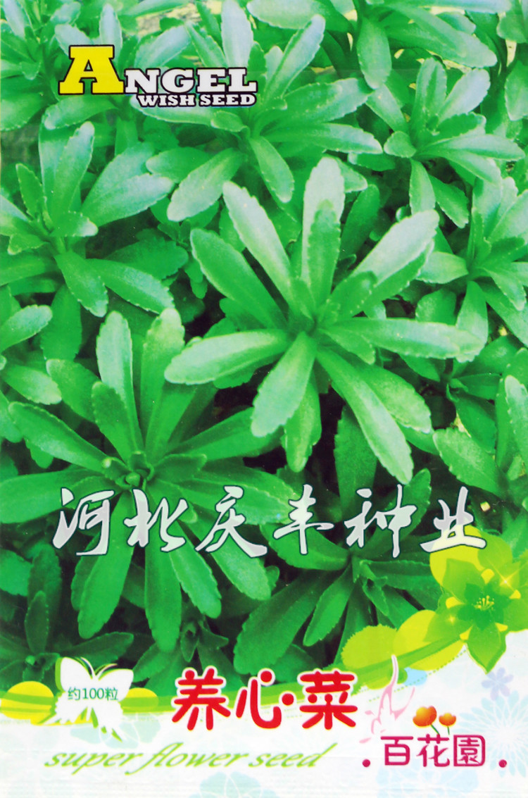 养心菜种子 多年生养心菜 救心菜种子 保健特色菜 阳台盆栽救心菜_7折