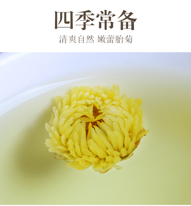 【陌上花开】正宗桐乡杭白菊