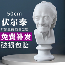 H43 Voltaire plaster head art art test gypsum teaching aids art still life painting material geometric plaster image