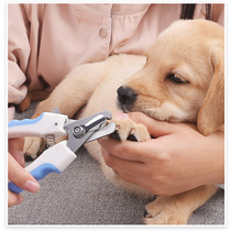 Pet nail scissors cat nail scissors dog trimming nails new beauty and splash nail clippers