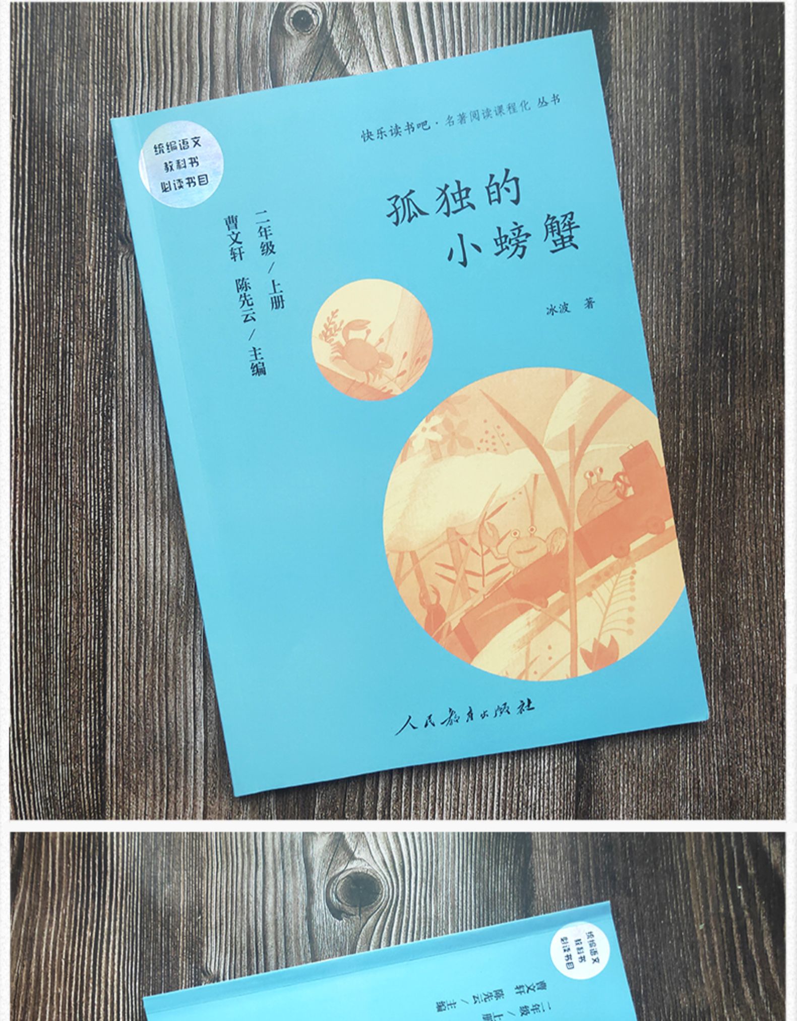 人民教育出版社 孤独的小螃蟹二年级正版书冰波人教版曹文轩主编