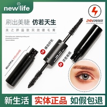 South Koreas new life cosmetics counter beautiful Jiaohua Jingjing double-effect mascara thick slender curl