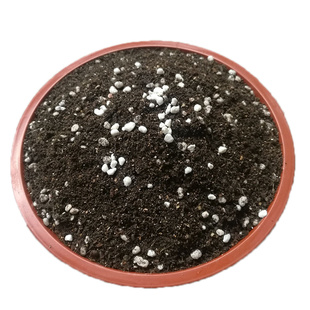 育苗基质扦插土多肉土花卉植物营养土有机土阳台蔬菜种植土养花土