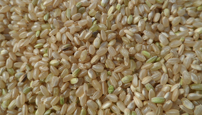 5斤包邮农家自种新糙米 纯天然糙米 新鲜带皮米500g五谷杂粮